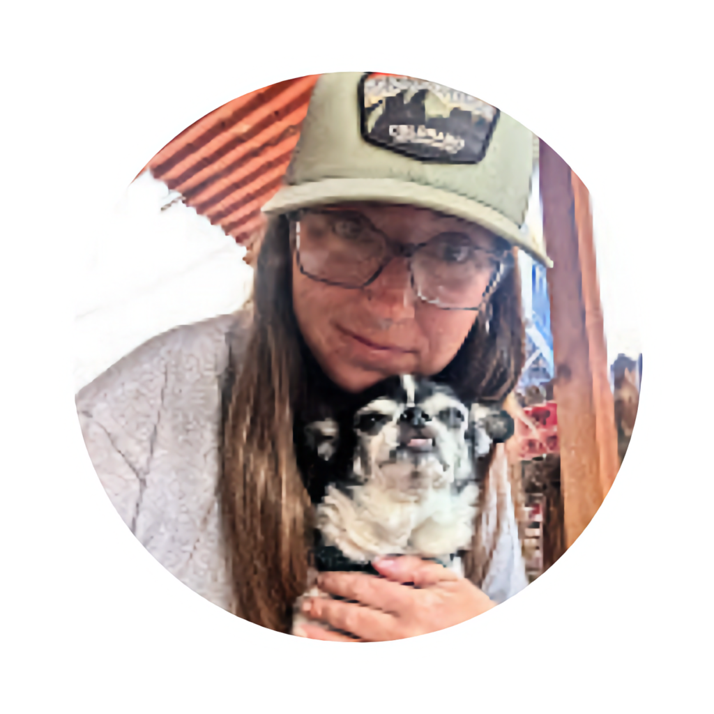 Minivan Camper Channels