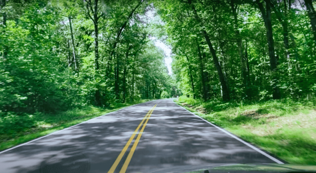 Great Smoky Mountains National Park Journey