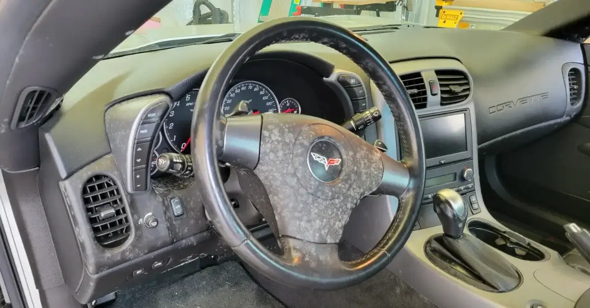 Moonbow Auto Spa Corbin KY Corvette Before Our Black Mold Removal